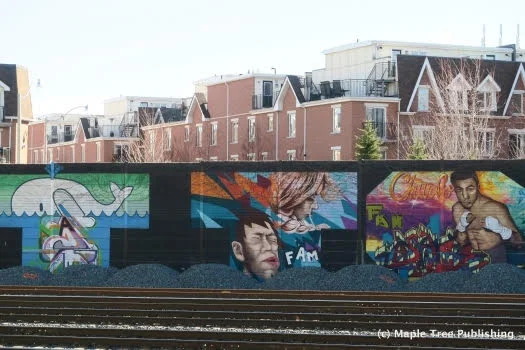 Toronto-Neighbourhood-Guide-West-End-8